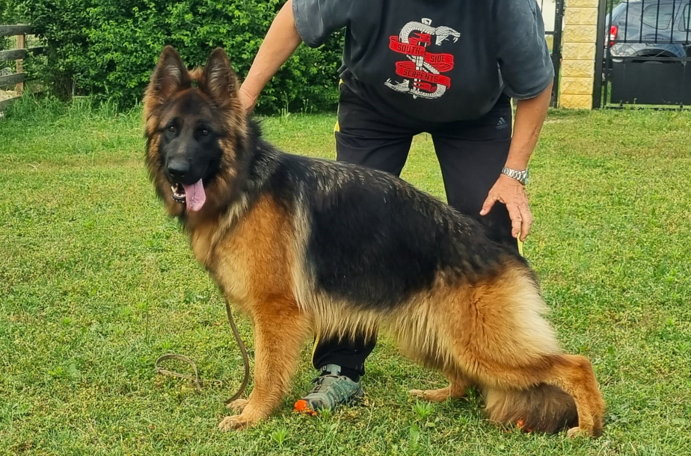 TYNA De la plaine de serrieres